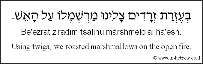 English to Hebrew: Using twigs, we roasted marshmallows on the open fire.