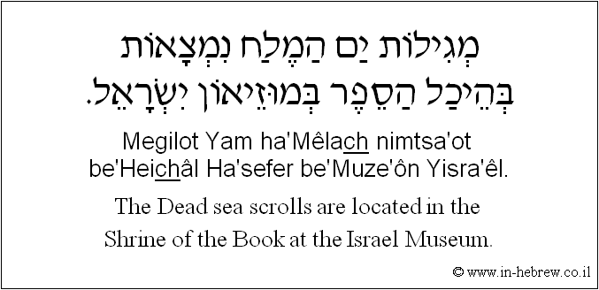 English to Hebrew: The Dead sea scrolls are located in the Shrine of the Book at the Israel Museum.