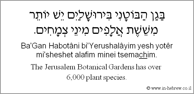 English to Hebrew: The Jerusalem Botanical Gardens has over 6,000 plant species.