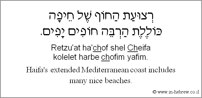English to Hebrew: Haifa's extended Mediterranean coast includes many nice beaches.