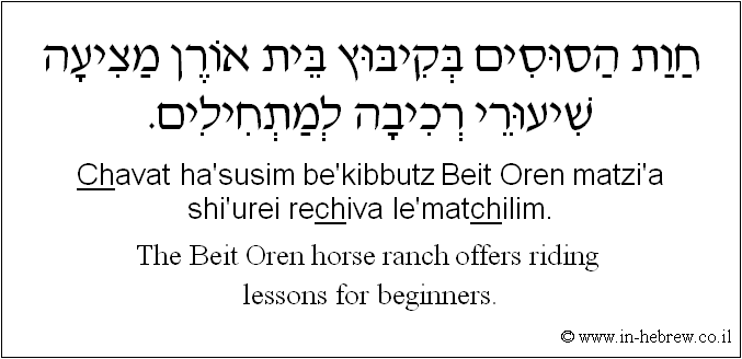 English to Hebrew: The Beit Oren horse ranch offers riding lessons for beginners.