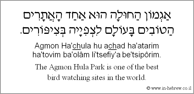 English to Hebrew: The Agmon Hula Park is one of the best bird watching sites in the world.