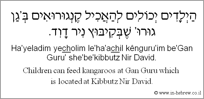 English to Hebrew: Children can feed kangaroos at Gan Guru which is located at Kibbutz Nir David.