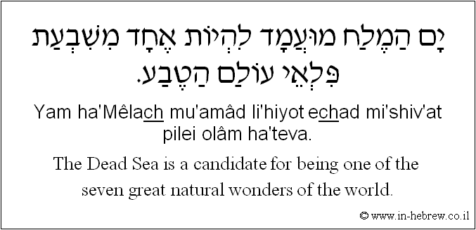 English to Hebrew: The Dead Sea is a candidate for being one of the seven great natural wonders of the world.