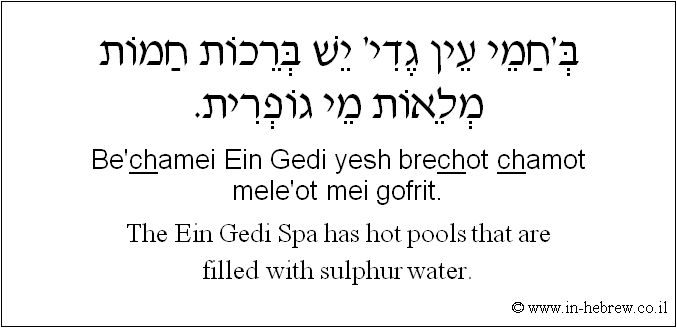 English to Hebrew: The Ein Gedi Spa has hot pools that are filled with sulphur water.