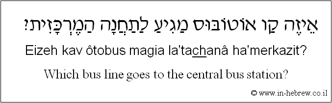 English to Hebrew: Which bus line goes to the central bus station?