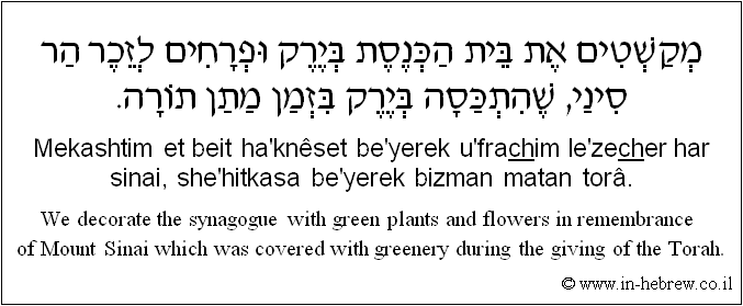 English to Hebrew: We decorate the synagogue with green plants and flowers in remembrance of Mount Sinai which was covered with greenery during the giving of the Torah.