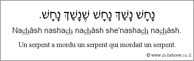 Français à l'hébreu: Un serpent a mordu un serpent qui mordait un serpent.