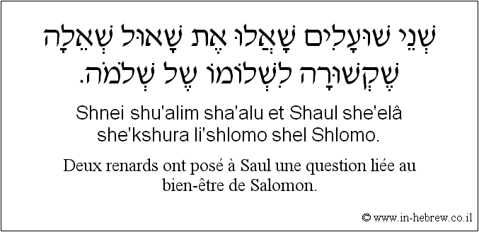 Français à l'hébreu: Deux renards ont posé à Saul une question liée au bien-être de Salomon.
