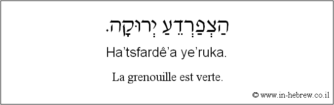 Français à l'hébreu: La grenouille est verte.