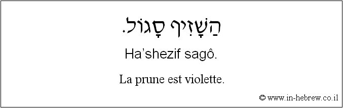 Français à l'hébreu: La prune est violette.