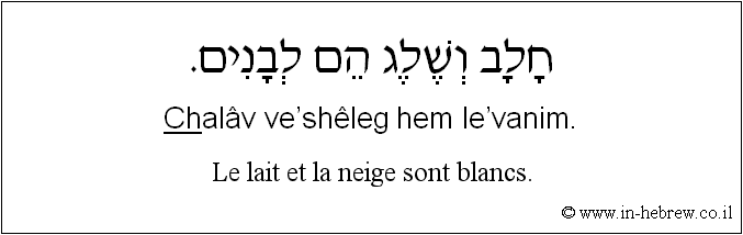 Français à l'hébreu: Le lait et la neige sont blancs.