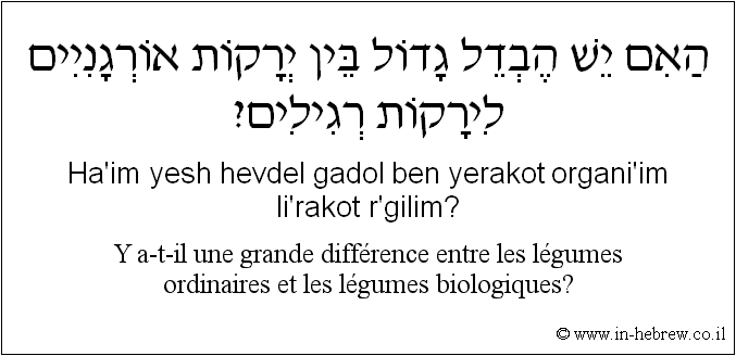 Français à l'hébreu: Y a-t-il une grande différence entre les légumes ordinaires et les légumes biologiques?