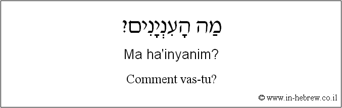 Français à l'hébreu: Comment vas-tu?