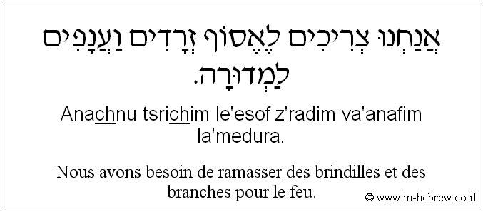 Français à l'hébreu: Nous avons besoin de ramasser des brindilles et des branches pour le feu.