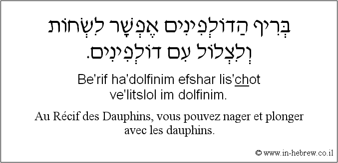 Français à l'hébreu: Au Récif des Dauphins, vous pouvez nager et plonger avec les dauphins.