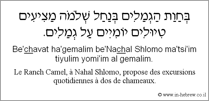 Français à l'hébreu: Le Ranch Camel, à Nahal Shlomo, propose des excursions quotidiennes à dos de chameaux.