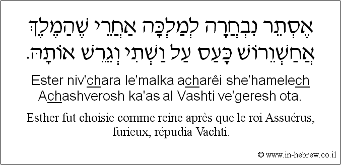 Français à l'hébreu: Esther fut choisie comme reine après que le roi Assuérus, furieux, répudia Vachti.