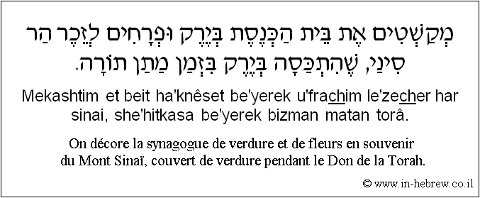 Français à l'hébreu: On décore la synagogue de verdure et de fleurs en souvenir du Mont Sinaï, couvert de verdure pendant le Don de la Torah.