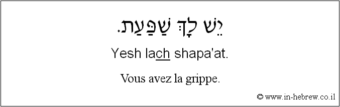 Français à l'hébreu: Vous avez la grippe.