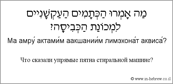 Иврит и русский: Что сказали упрямые пятна стиральной машине?