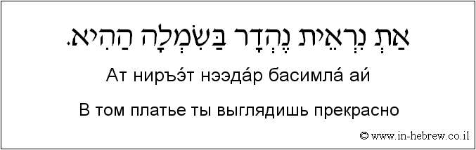 Иврит и русский: В том платье ты выглядишь прекрасно