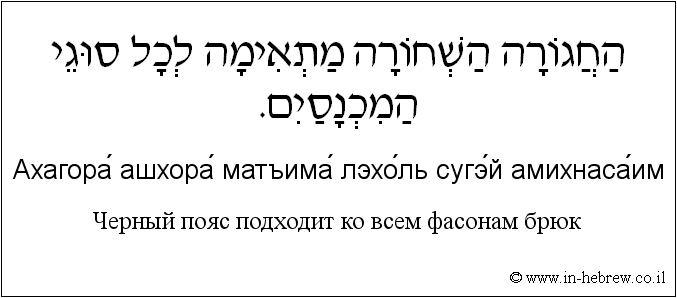 Иврит и русский: Черный пояс подходит ко всем фасонам брюк