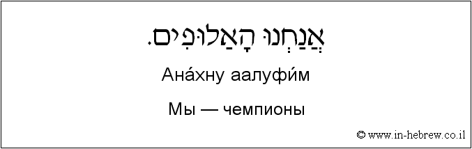 Иврит и русский: Мы — чемпионы