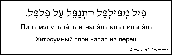 Иврит и русский: Хитроумный слон напал на перец