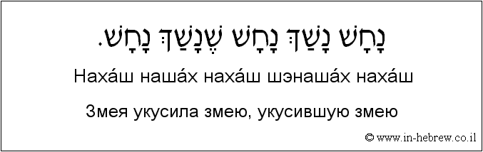 Иврит и русский: Змея укусила змею, укусившую змею