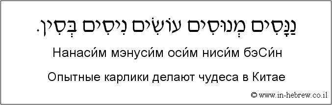 Иврит и русский: Опытные карлики делают чудеса в Китае