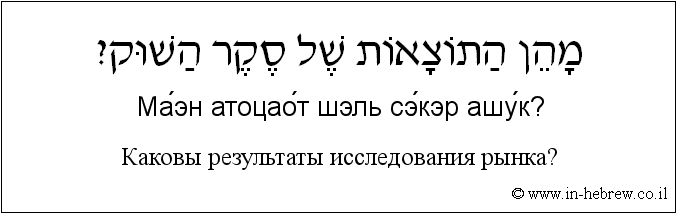 Иврит и русский: Каковы результаты исследования рынка?