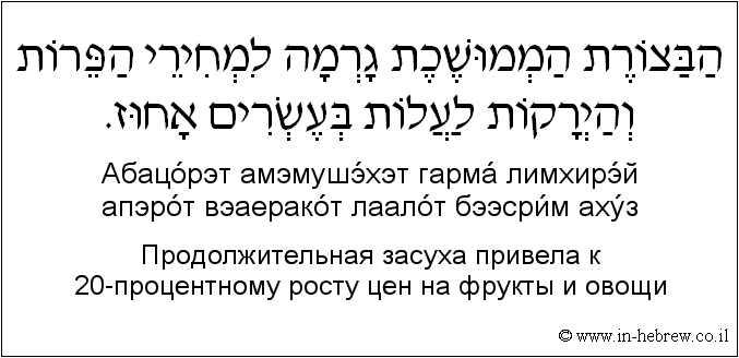 Иврит и русский: Продолжительная засуха привела к 20-процентному росту цен на фрукты и овощи