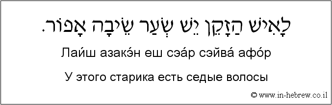 Иврит и русский: У этого старика есть седые волосы