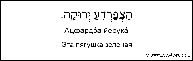 Иврит и русский: Эта лягушка зеленая