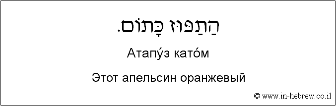 Иврит и русский: Этот апельсин оранжевый