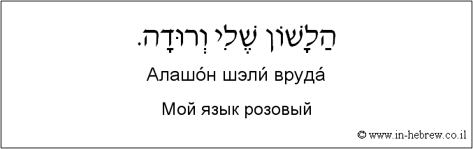 Иврит и русский: Мой язык розовый