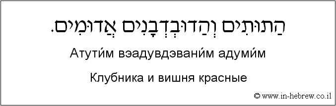 Иврит и русский: Клубника и вишня красные