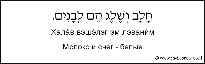 Иврит и русский: Молоко и снег - белые
