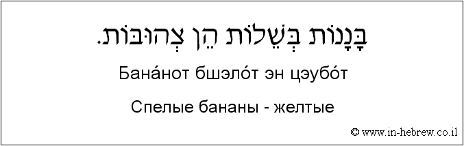 Иврит и русский: Спелые бананы - желтые
