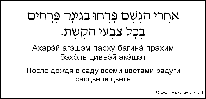 Иврит и русский: После дождя в саду всеми цветами радуги расцвели цветы