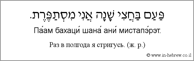 Иврит и русский: Раз в полгода я стригусь. (ж. р.)