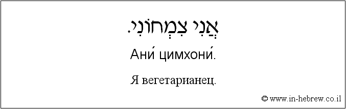 Иврит и русский: Я вегетарианец.
