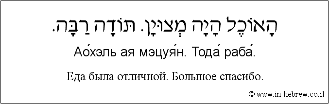 Иврит и русский: Еда была отличной. Большое спасибо.
