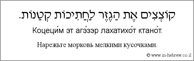 Иврит и русский: Нарежьте морковь мелкими кусочками