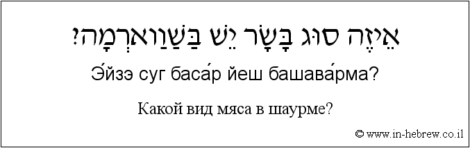 Иврит и русский: Какой вид мяса в шаурме?