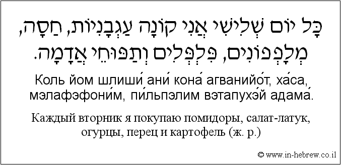 Иврит и русский: Каждый вторник я покупаю помидоры, салат-латук, огурцы, перец и картофель (ж. р.)