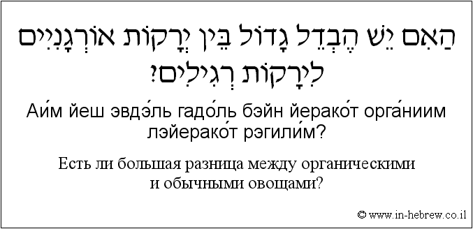 Иврит и русский: Есть ли большая разница между органическими и обычными овощами?