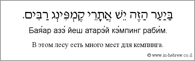 Иврит и русский: B этом лесу есть много мест для кемпинга
