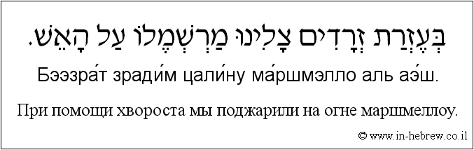 Иврит и русский: При помощи хвороста мы поджарили на огне маршмеллоу